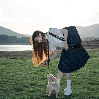 不进花瓶的洋甘菊